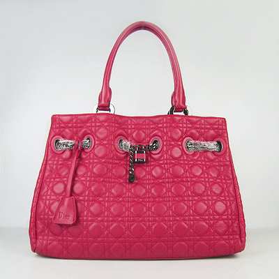Christian Dior Handbag-1833ho_78